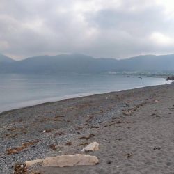 まるまると太ったキス