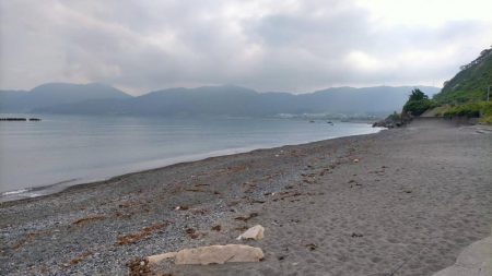 まるまると太ったキス