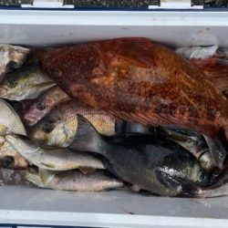 康仁丸・餌釣り・ジギング釣り果