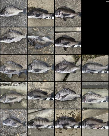 イチノ兄弟、釣果!