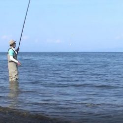 夕方の小鮎釣り