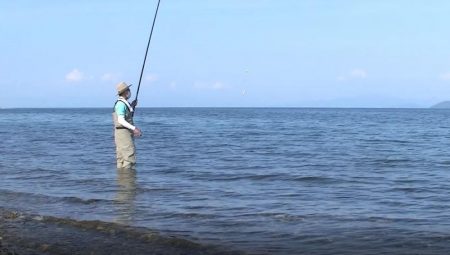 夕方の小鮎釣り