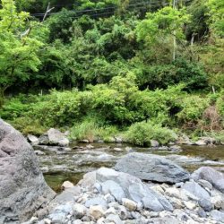 令和3年 祝! 解禁