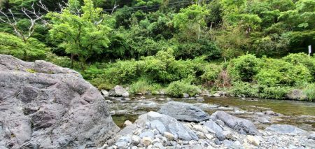 令和3年 祝! 解禁