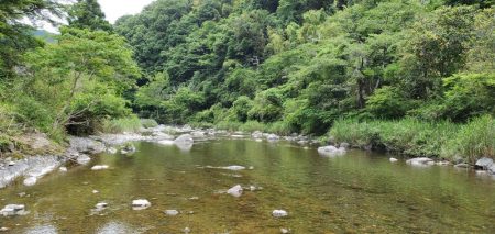 解禁日から1週間