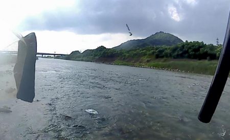 野洲川での友釣り