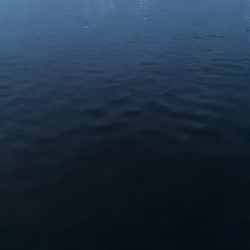 ライトゲーム37