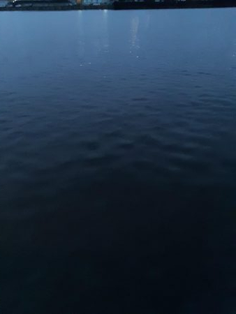 ライトゲーム37