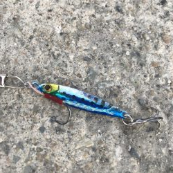 マイクロジグサビキでサバGET!