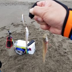 今日も満足しました