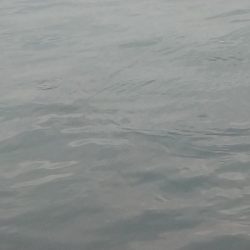 2021釣行投稿№8