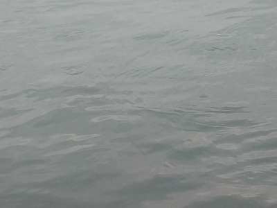 2021釣行投稿№8