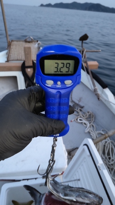 久しぶりの投稿です