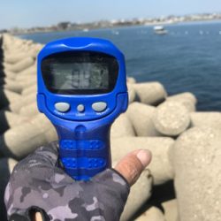 狙ってアオリイカ  GET＼(^o^)／