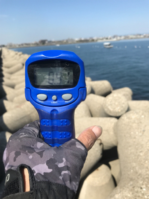 狙ってアオリイカ  GET＼(^o^)／