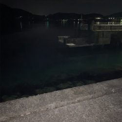 ナイトシーバス