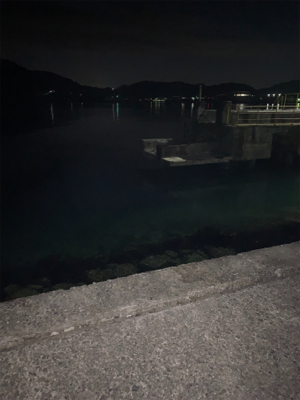 ナイトシーバス