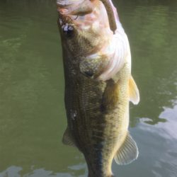 厳しいながらも