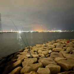 夕方からぶっ込み釣り