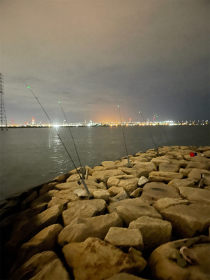 夕方からぶっ込み釣り