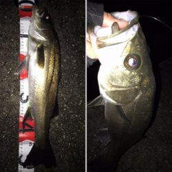 2021ライトゲーム第17戦