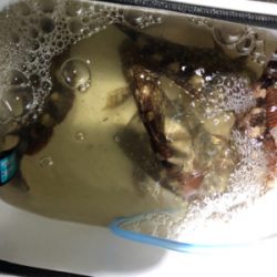 たまには癒されに行こう