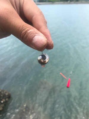 目玉が釣れた！こんな事ある！？