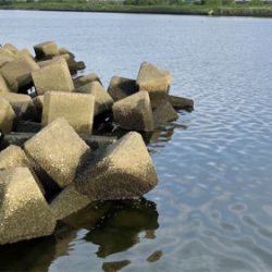 荒川　デイシーバス