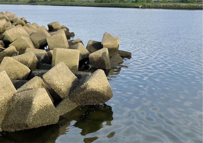 荒川　デイシーバス