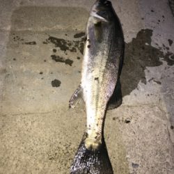 バラしまくり(>_<)