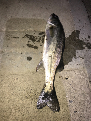 バラしまくり(>_<)