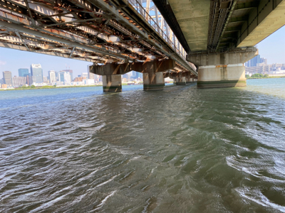 ハゼクラデビュー