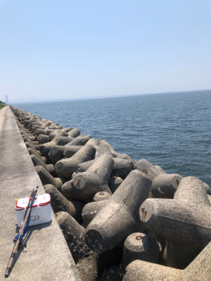 グレフカセ釣り