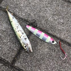 鋼の心燃やし続け鰤93cm。。