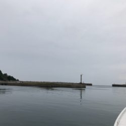 またまた潮早い