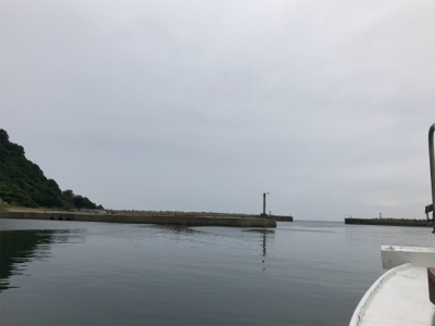 またまた潮早い