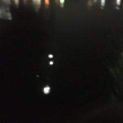 続 バチ抜け不発