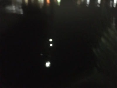 続 バチ抜け不発