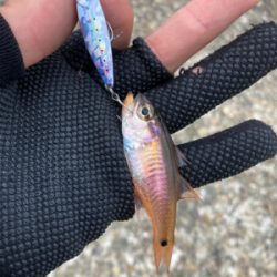 メタルアジング