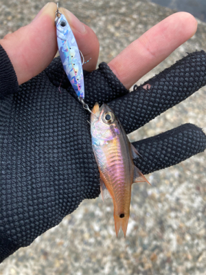 メタルアジング