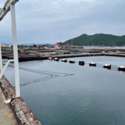 じゃのひれフィッシングパークさんにて