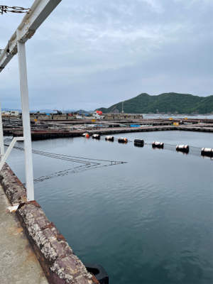 じゃのひれフィッシングパークさんにて