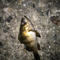 レンジ下げ気味