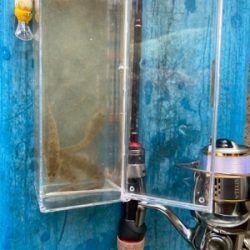 淀川ハゼクラ　濁りはダメ