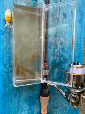 淀川ハゼクラ　濁りはダメ