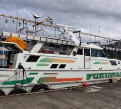 若狭湾でイカ釣り