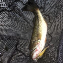 そろそろ厳しい季節