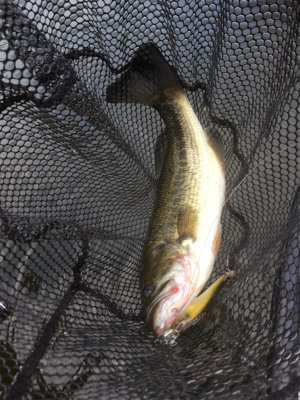 そろそろ厳しい季節