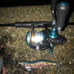 潮の変化でアオリイカGET＼(^o^)／