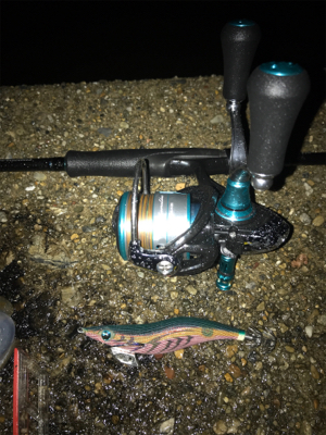 潮の変化でアオリイカGET＼(^o^)／